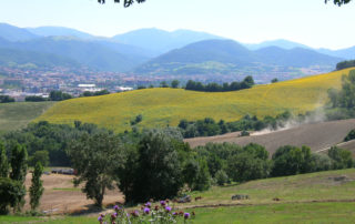 panorami agriturismo bed&breakfast Fabriano rooms